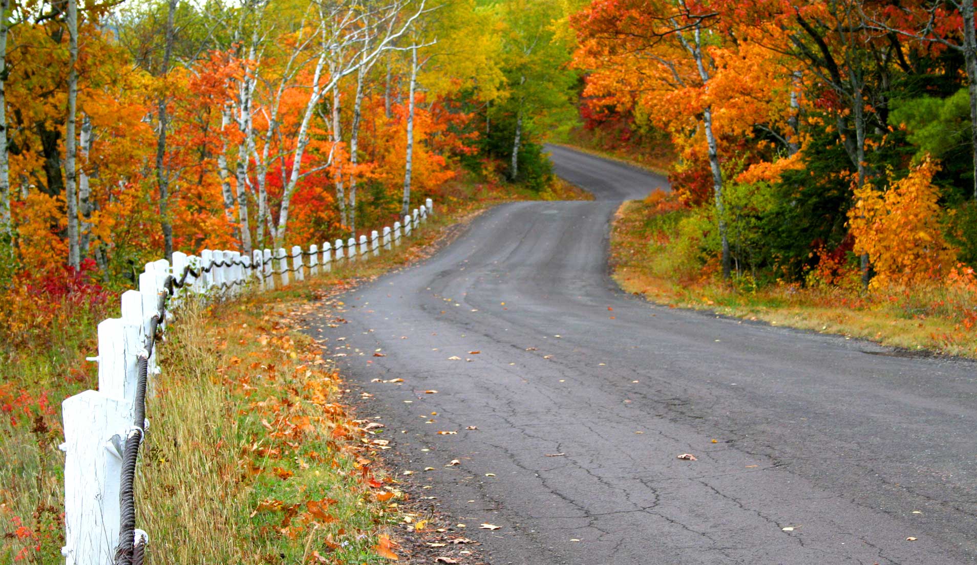 padma-life-coaching-05