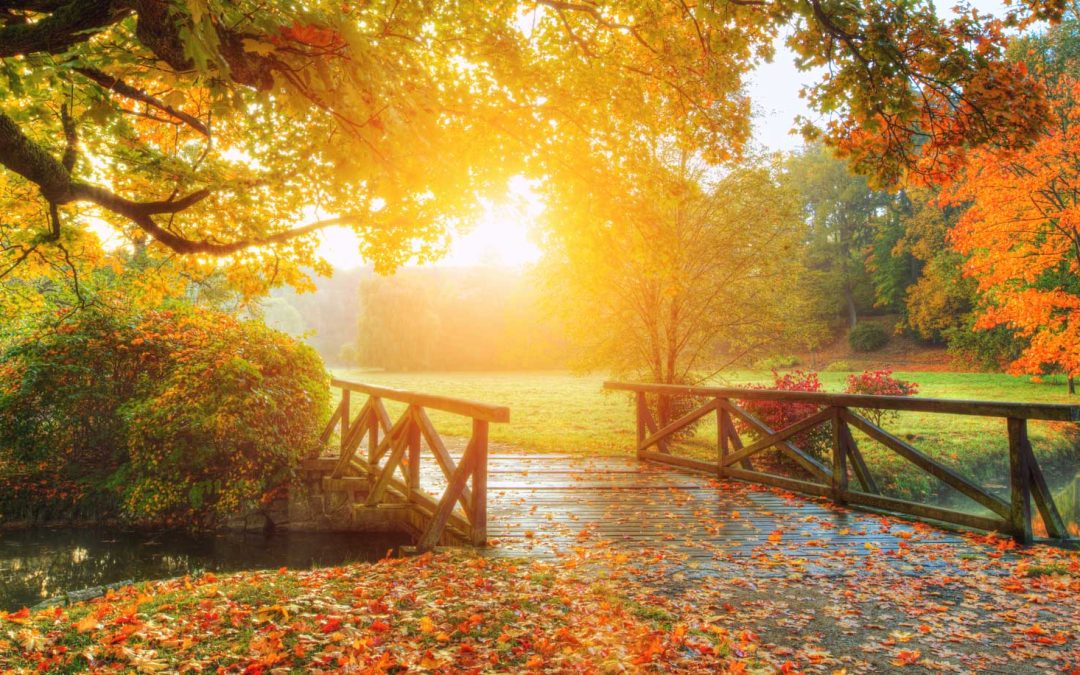 Mother of us all – The Great Mother Goddess