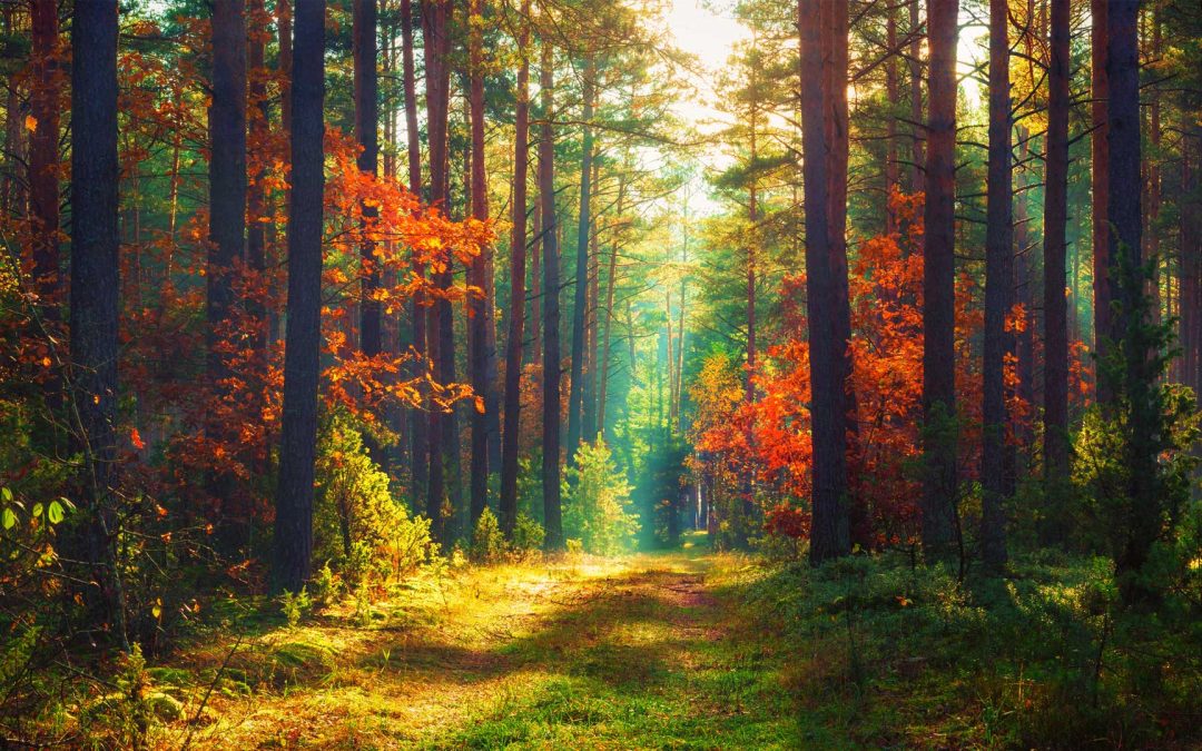 OMG – What is this thing called Karma!