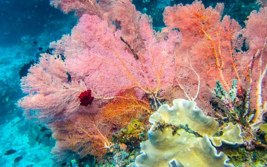 Self Worth – How do we value ourselves?