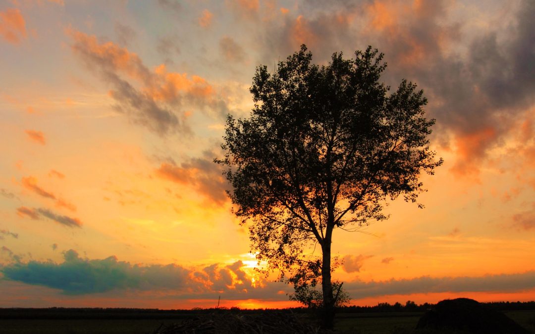 KARMA – From the Buddhist Perspective