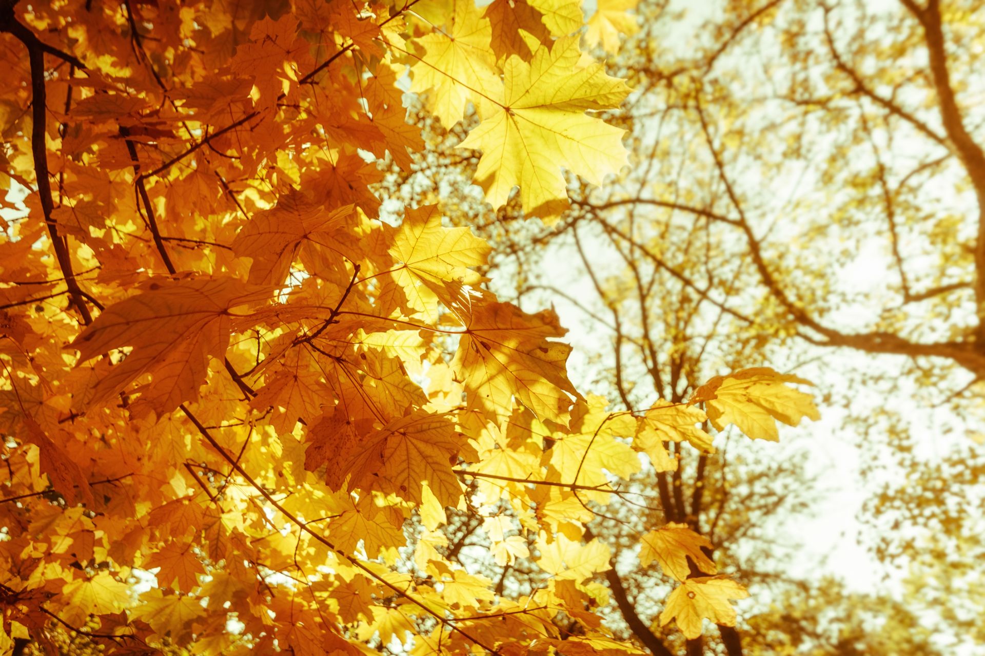 padma-life-coaching-49