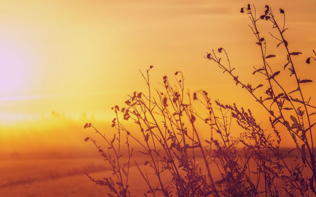 Easter – A Time of Love