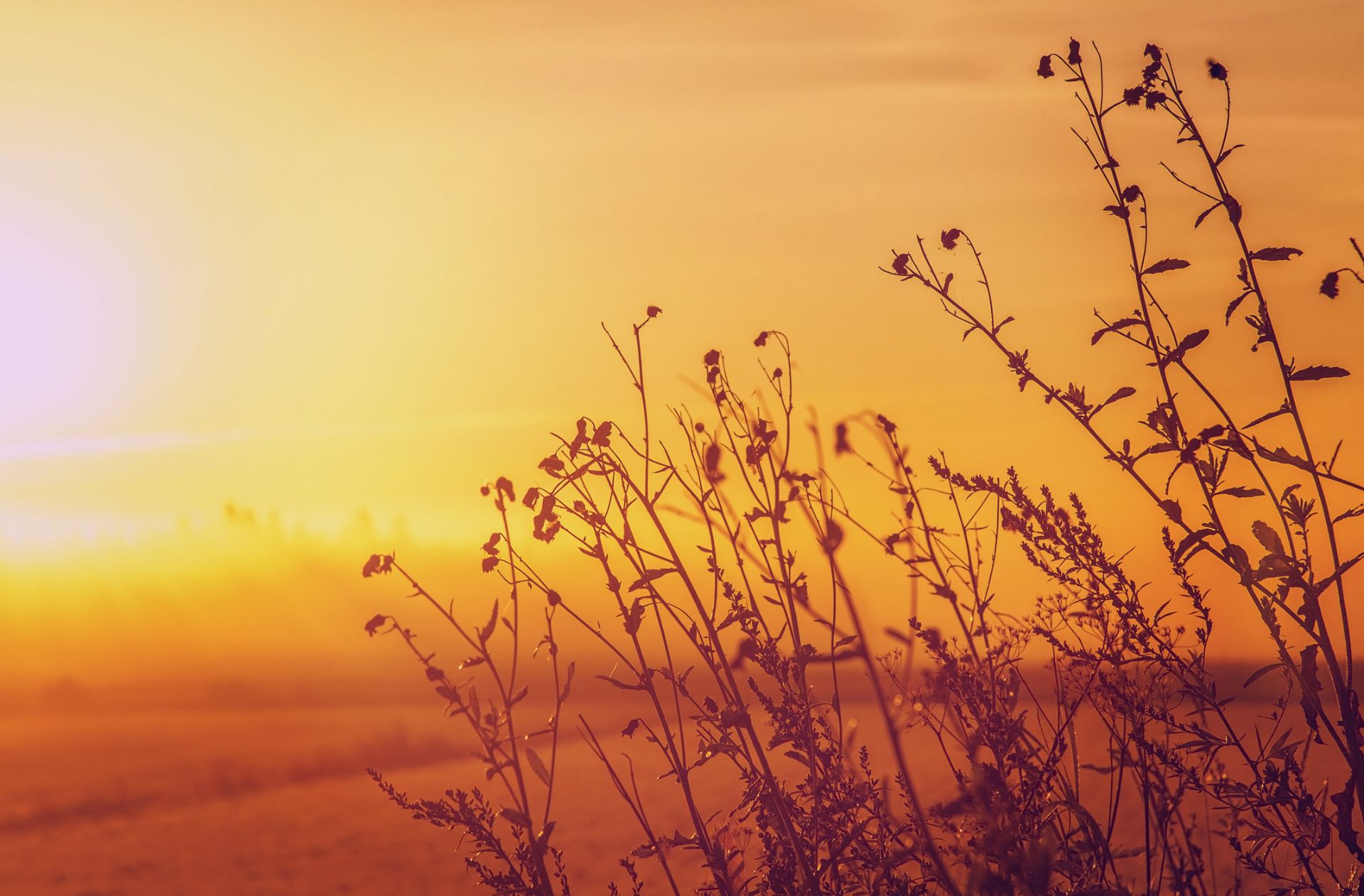 padma-life-coaching-53