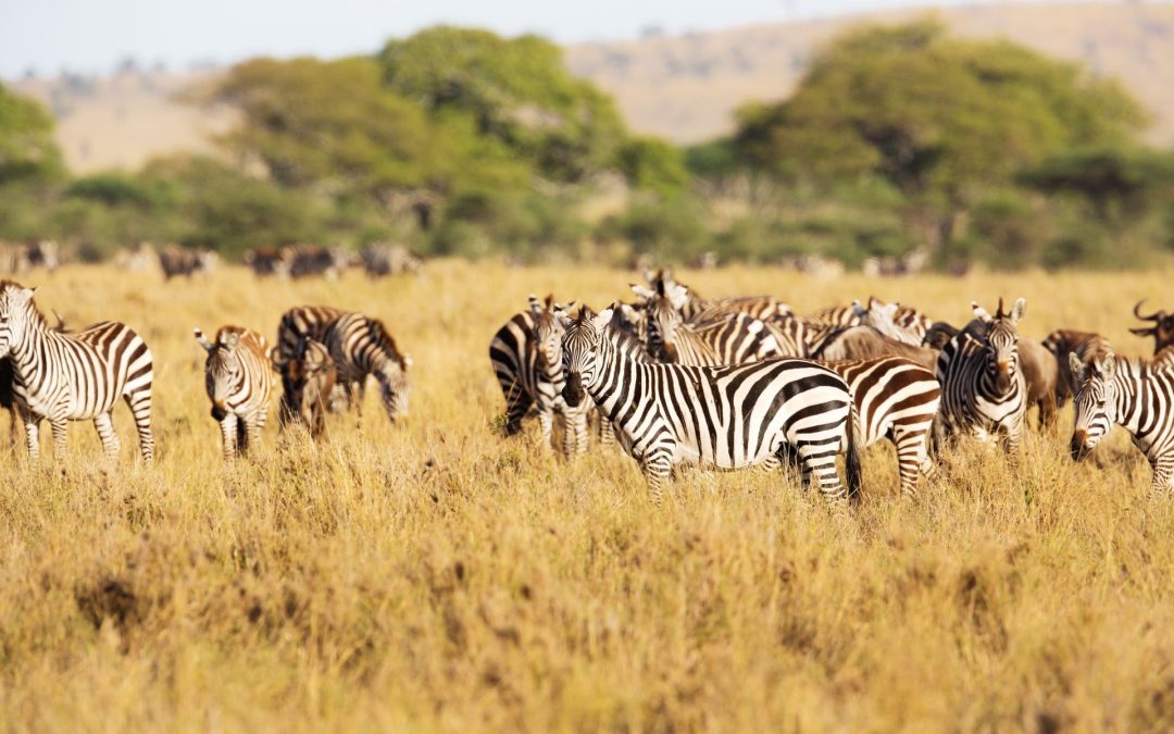 Join Marie at San Francisco Astrological Society