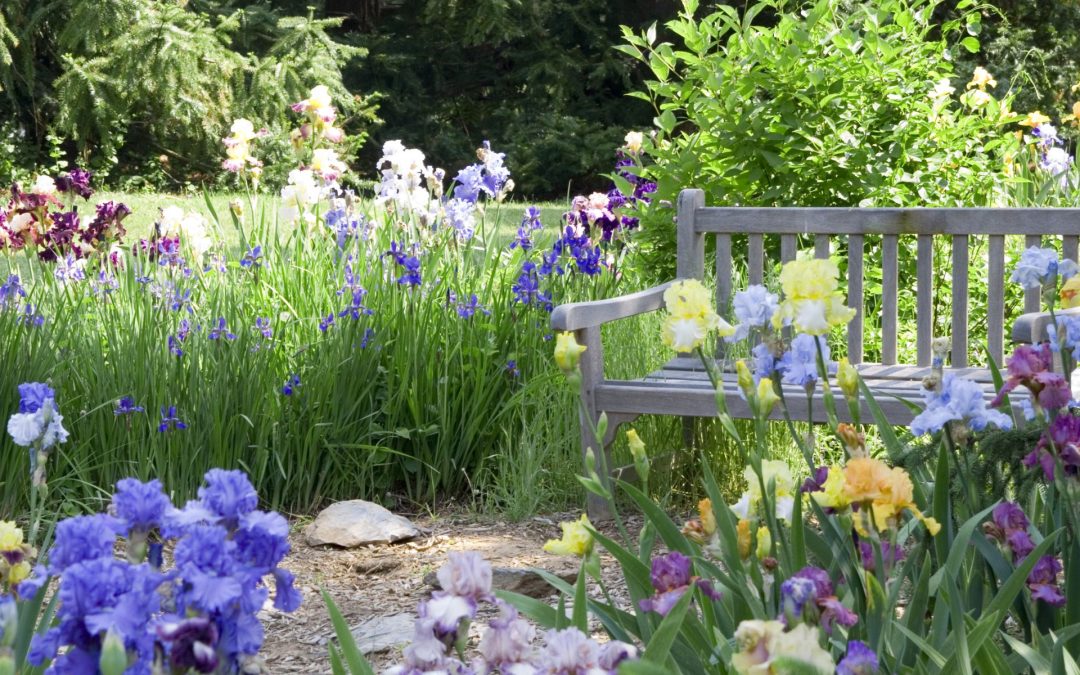 MARIE O’NEILL REBRANDS BUSINESS